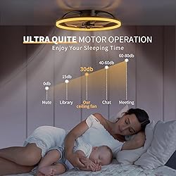 Ceiling Fans with Lights and Remote, 20'' Flush