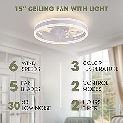 LUDOMIDE Ceiling Fans with Lights and Remote Flush