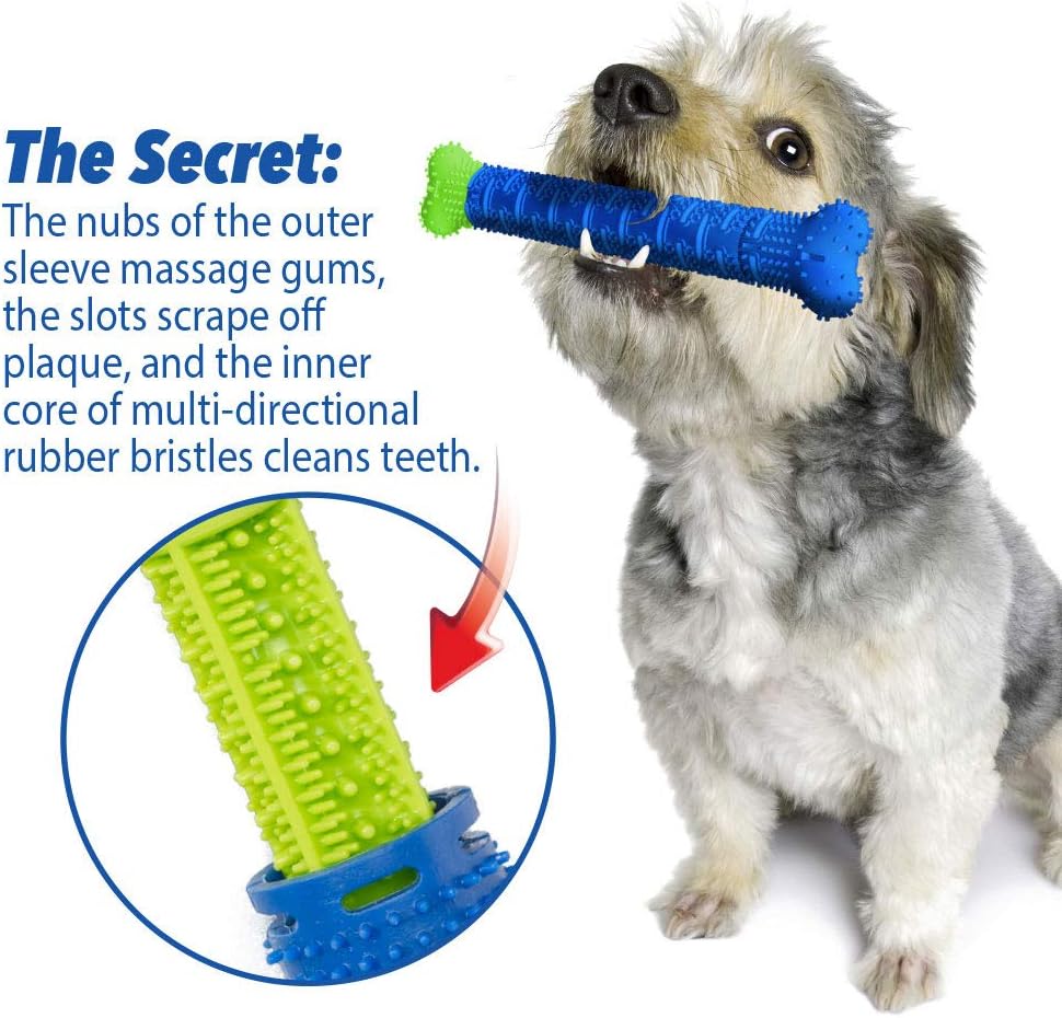 self brushing dog toothbrush
