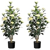 Romantic Season 2Pack Artificial Camellia Tree, 3FT Yellow Faux Camellia Plant for Modern Home, Office & Living Room Floor Decor