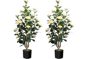 Romantic Season 2Pack Artificial Camellia Tree, 3FT Yellow Faux Camellia Plant for Modern Home, Office & Living Room Floor Decor