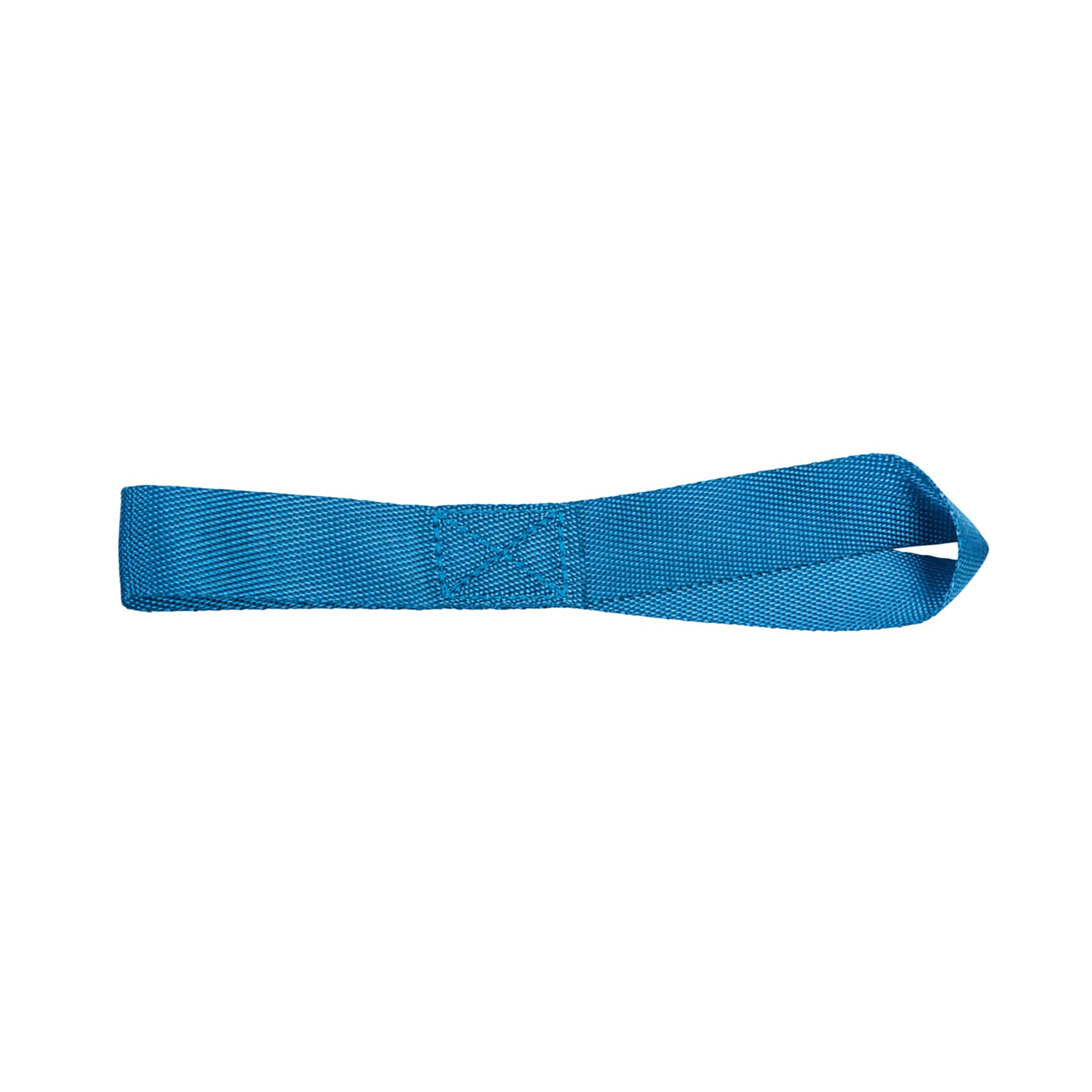 Connex DY270667 Lashing Strap, Blue, One Size