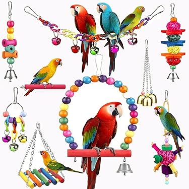 Amazon Best Sellers: Best Bird Swings