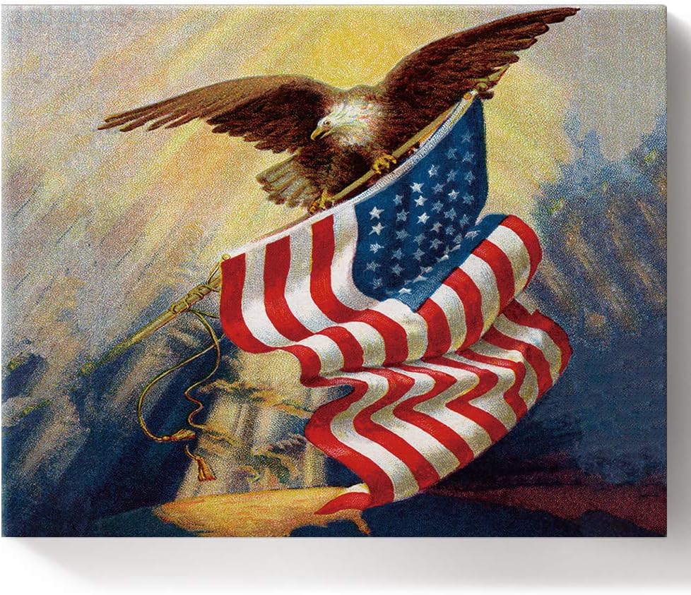 Amazon Com Canvas Wall Art Diy Oil Paint By Numbers Kits For Beginners Adults Kids American Revolutionary War Hawk And Us Flag Color By Number Acrylic Paints Brushes 16x20 Inches