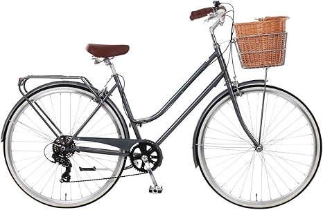dawes dutch bike