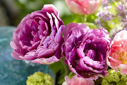 Leinwandbild - INDOOR/OUTDOOR - Motiv 'Blütezeit' - 90 x 59 cm