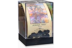JOSHUA TREE SEEDS Joshua Tree Incubator Set