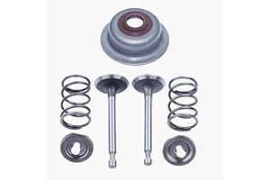 HAISHINE Intake Exhaust Valve Spring Stem Seal Kit for Honda GX160 GX200 168F 5.5HP 6.5HP 2kw-3kw Gas Engine Motor Generator Replace 14711-ZF1-000, 14721-ZF1-000, 14431-ZE1-000