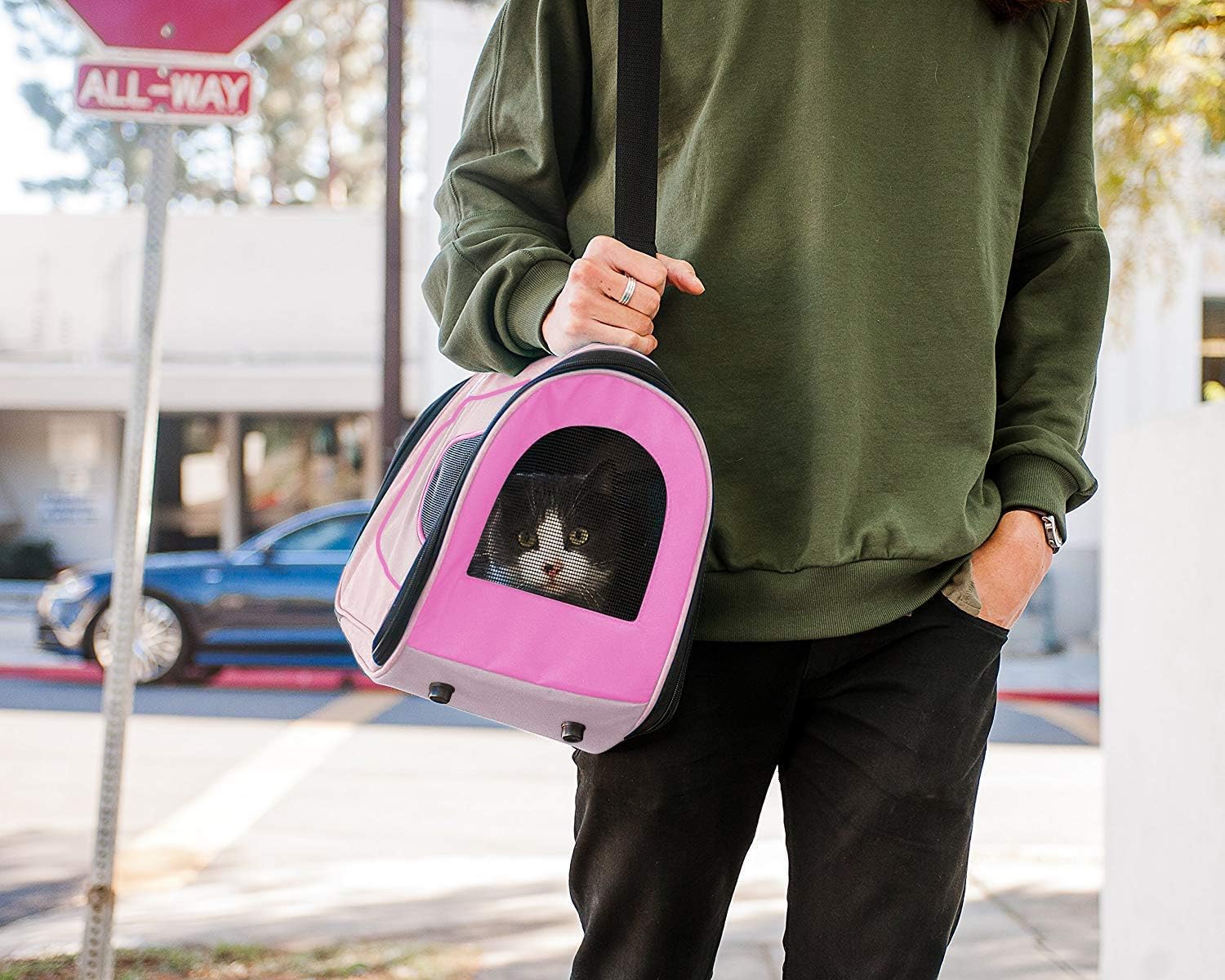 Pet Magasin Soft-Sided Pet Travel Carrier (Airline Approved) for Cats, Small Dogs, Puppies and Other Pets by (Large, Blue) : Pet Supplies