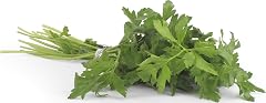 Herb Parsley Italian Conventional, 1 Bunch