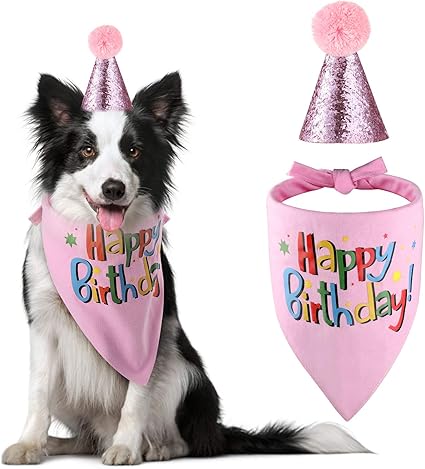 Dog birthday bandana and hat Clearance