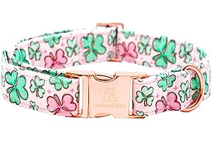 Lionheart glory St. Patrick Dog Collar, Clover Pink Collar for Medium Dogs Spring Female Dog Collars Adjustable Heavy-Duty Dog Collars Pet Gift