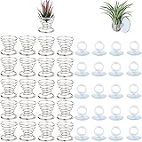 40 Pack Air Plant Stand Holder Tillandsia Airplant Container with Suction Cup Tabletop Planter Display Racks for Hanging Till