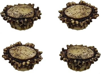 Old River Antler Drawer Cabinet Knobs 4 Pack 2 Sizes Of
