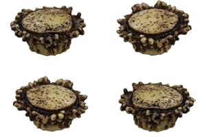 OLD RIVER OUTDOORS Old River Antler Drawer / Cabinet Knobs (4 Pack) - 2 Sizes of Screws and Washers Included