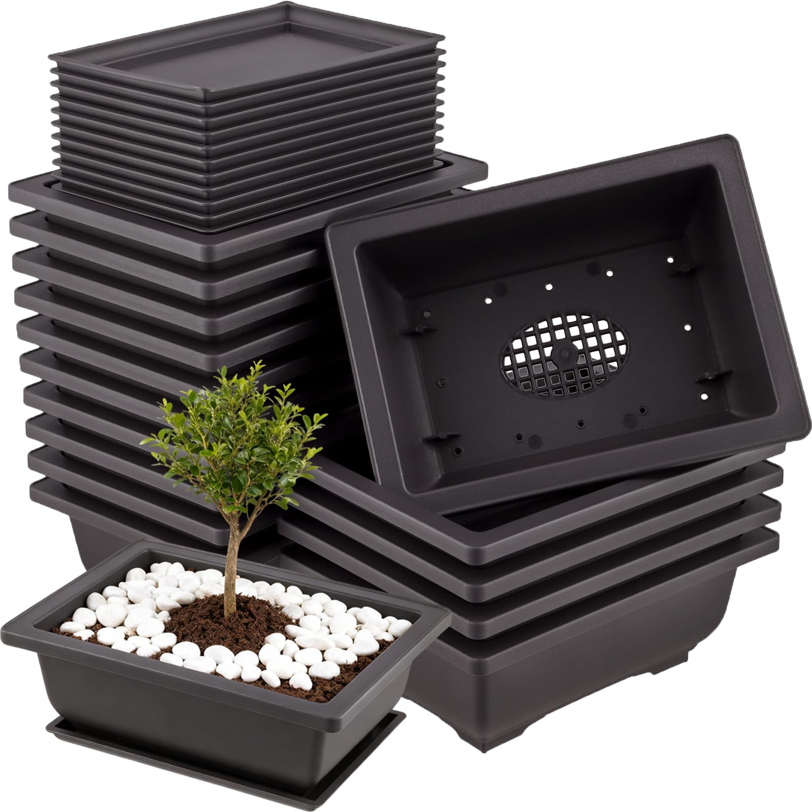 MUKSUET 15 PCS 6.5 Inch Bonsai Training Pots with Drainage Trays, Plastic Bonsai Tree Growing Pots, Rectangle Planter Pot for Indoor, Office, Balcony, Yard, Garden