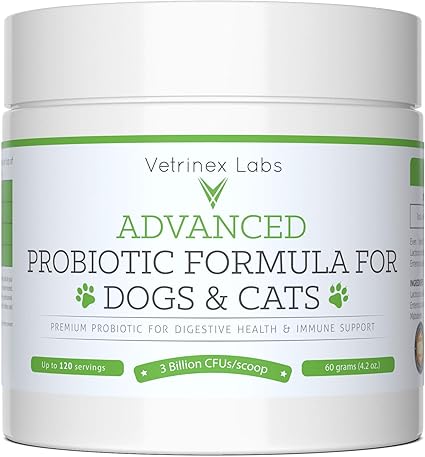 Amazon Com Vetrinex Labs Probiotics For Dogs Cats
