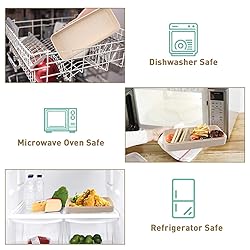 Meltset M 35Pcs Bento Box Japanese Lunch Box Kit