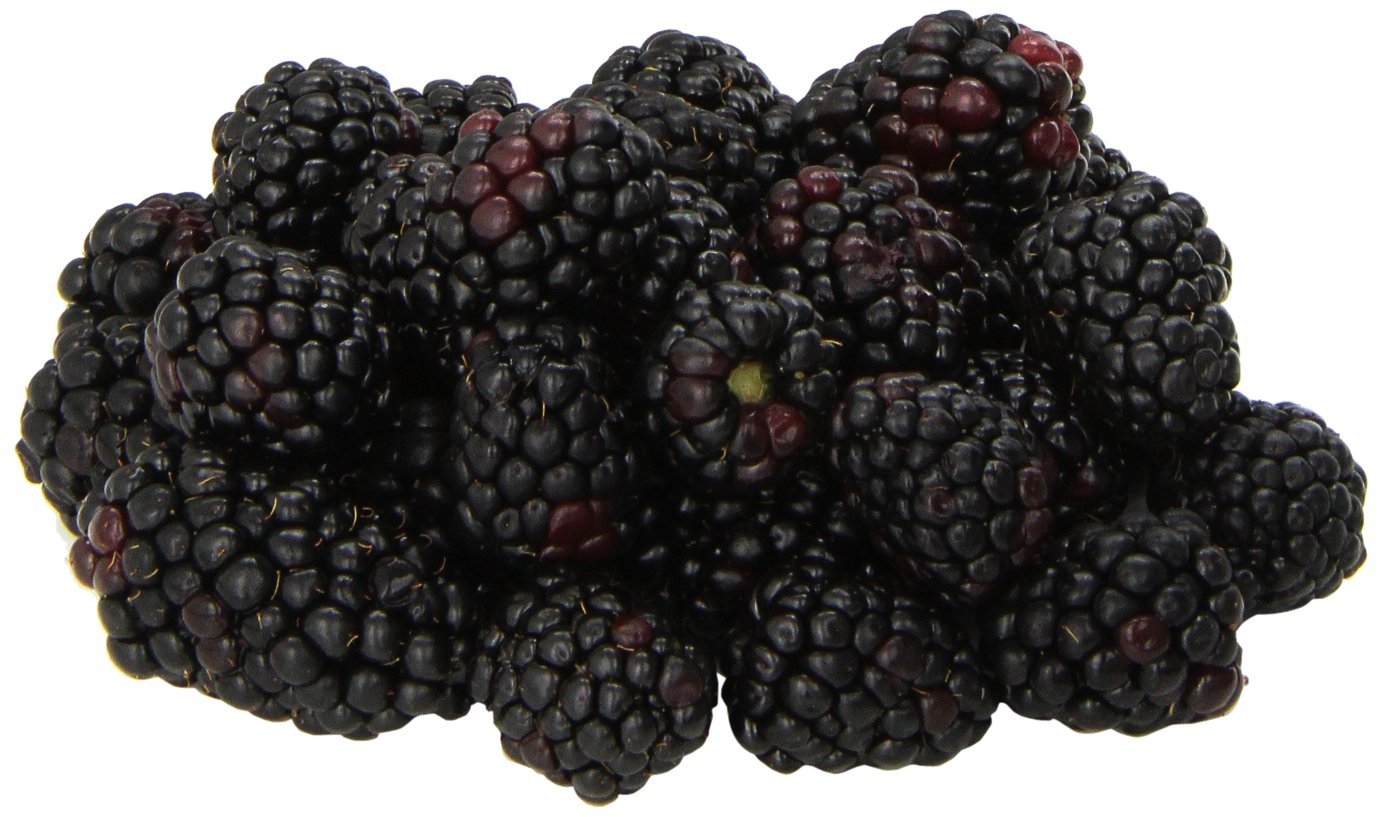 Blackberries Organic, 6 Ounce