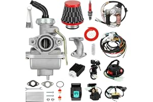 SHIQINHA PZ20 Carburetor Kit and Complete Wiring Harness Compatible with Tao tao Coolster 110cc 125cc Chinese ATV Quad 4 Wheeler 4-Stroke Kazuma Baja Roketa Parts with Ignition Coil Voltage Regulator