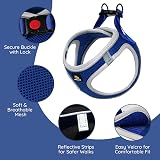 BELLA & PAL Dog Harness and Rope Lead Set XS Breathable Reflective Blue Grey view 2