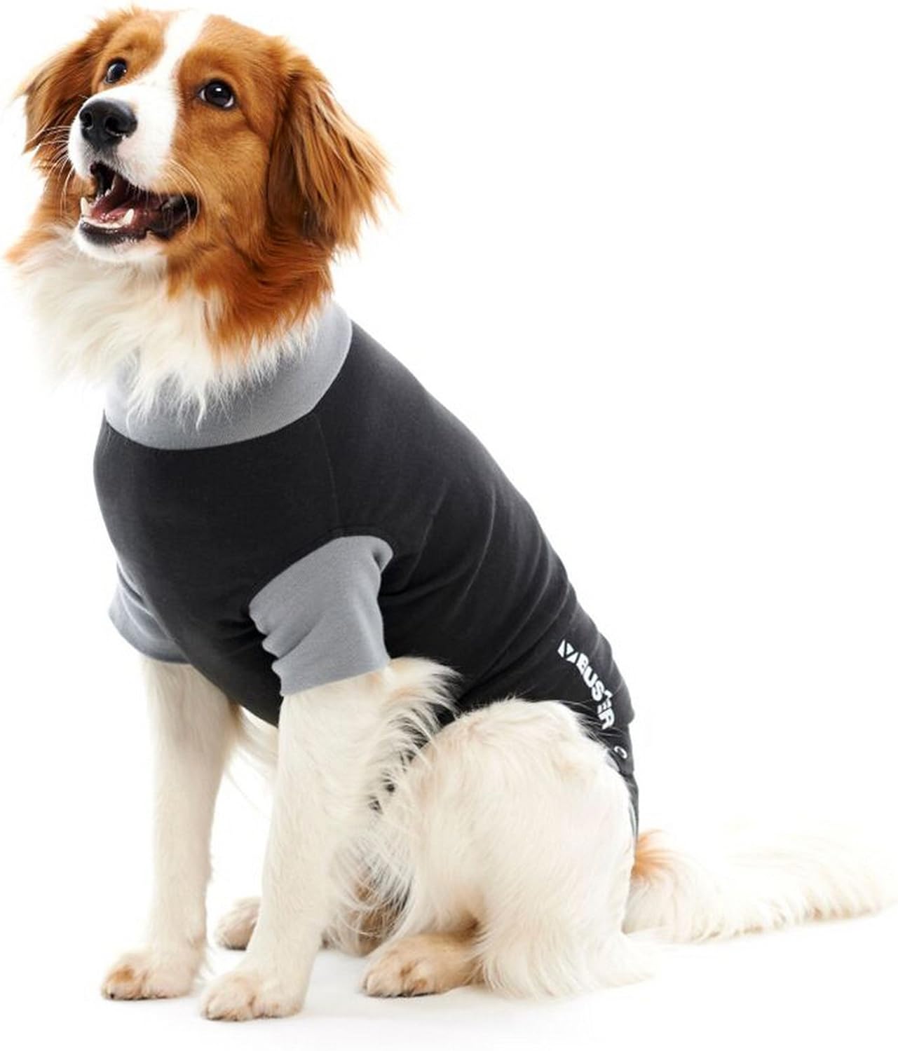 Buster Body Suit Easygo for Dogs, 16 in , XSmall Amazon.co.uk Pet