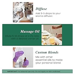 Handcraft Blends Pine Essential Oil – 1 Fl Oz