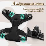 rabbitgoo Dog Harness Medium No Pull Front Back Leash Clips Reflective view 5