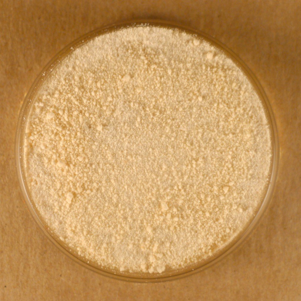 Honey Powder 5 lbs Bulk Powder Grocery & Gourmet Food