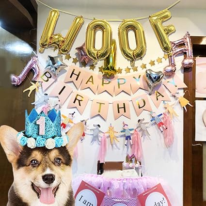 Amazon Com Legendog Dog Birthday Party Supplies Cat Birthday Hat