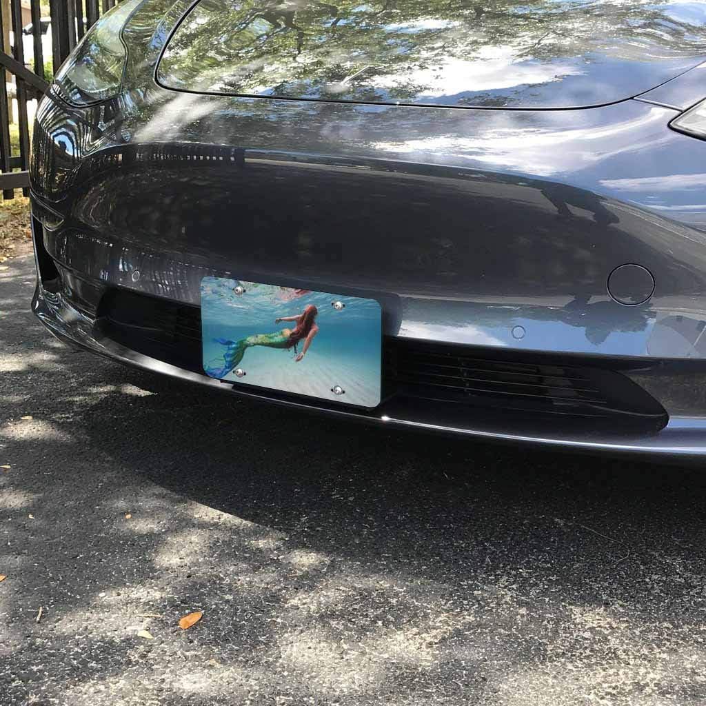 Beabes African Lion Front License Plate Cover Cool Dangerous Animal Gray Decorative License Plates For Car Aluminum Novelty Auto Car Tag Vanity Plates Gift For Men Women 6x12 Inch Automotive License Plate Covers