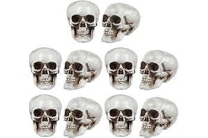 Ipetboom 8pcs Mini Skull Decor Halloween Party Accessories Small Realistic Skeleton Head Models for Spooky