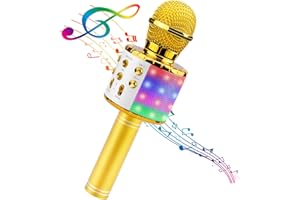 BlueFire 4 in 1 Handheld Karaoke Microphone, Portable Karaoke System with Speaker, Karaoke Machine Home KTV Player with Recor