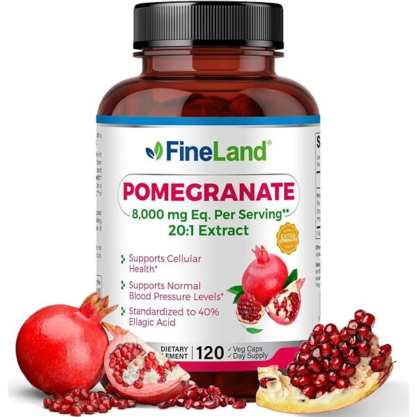 Amazon.com: FineLand Grape Seed Extract 50:1 – 25,000mg Equivalent