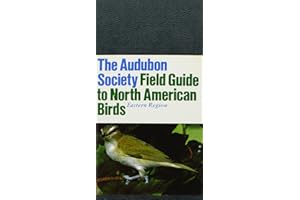 AUDUBON-BIRDS-EASTERN