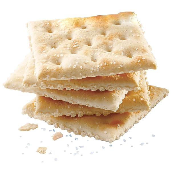 NABISCO PREMIUM SALTINE CRACKERS – 3 LB. BOX