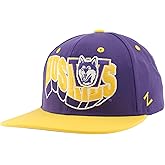 Washington Huskies NCAA Officially Licensed Hat Flat Snapback Z11 Retro Flashback Team Color