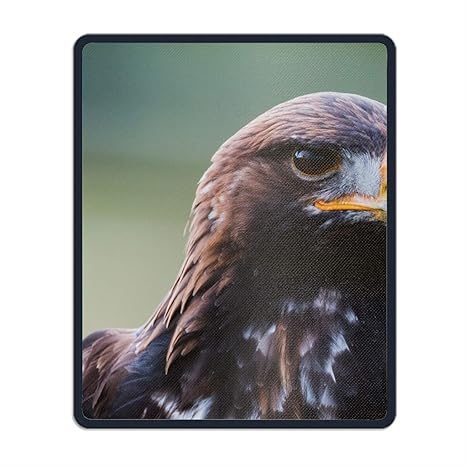 Amazoncom Animal Golden Eagle Birds Face Of Prey Mousepad