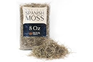 Royal Imports Preserved Natural Spanish Moss, Fresh Dried Shredded Loose Chunks, 8 Oz Bag