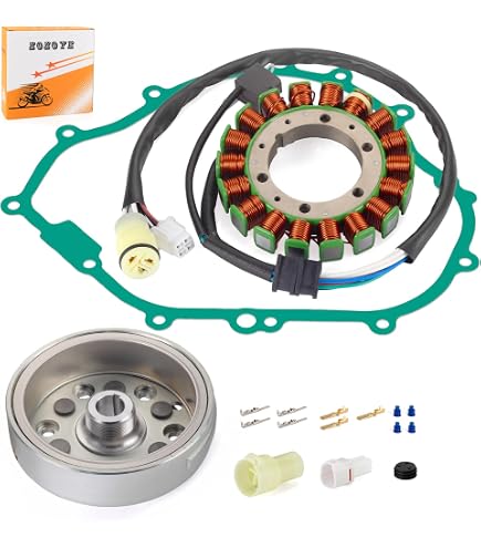 Amazon.com: Kawasaki 2003-2006 Kfx50 Kdx50 Stator 21003-S004 New