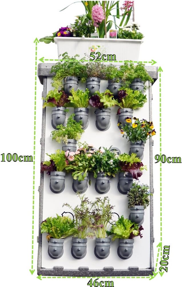 i3-Benjamin Starter-Kit jardín Vertical: Amazon.es: Jardín