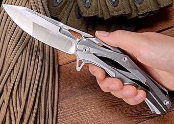 Amazon.com : OerLa TAC Transformers Decepticon Folding knife ...