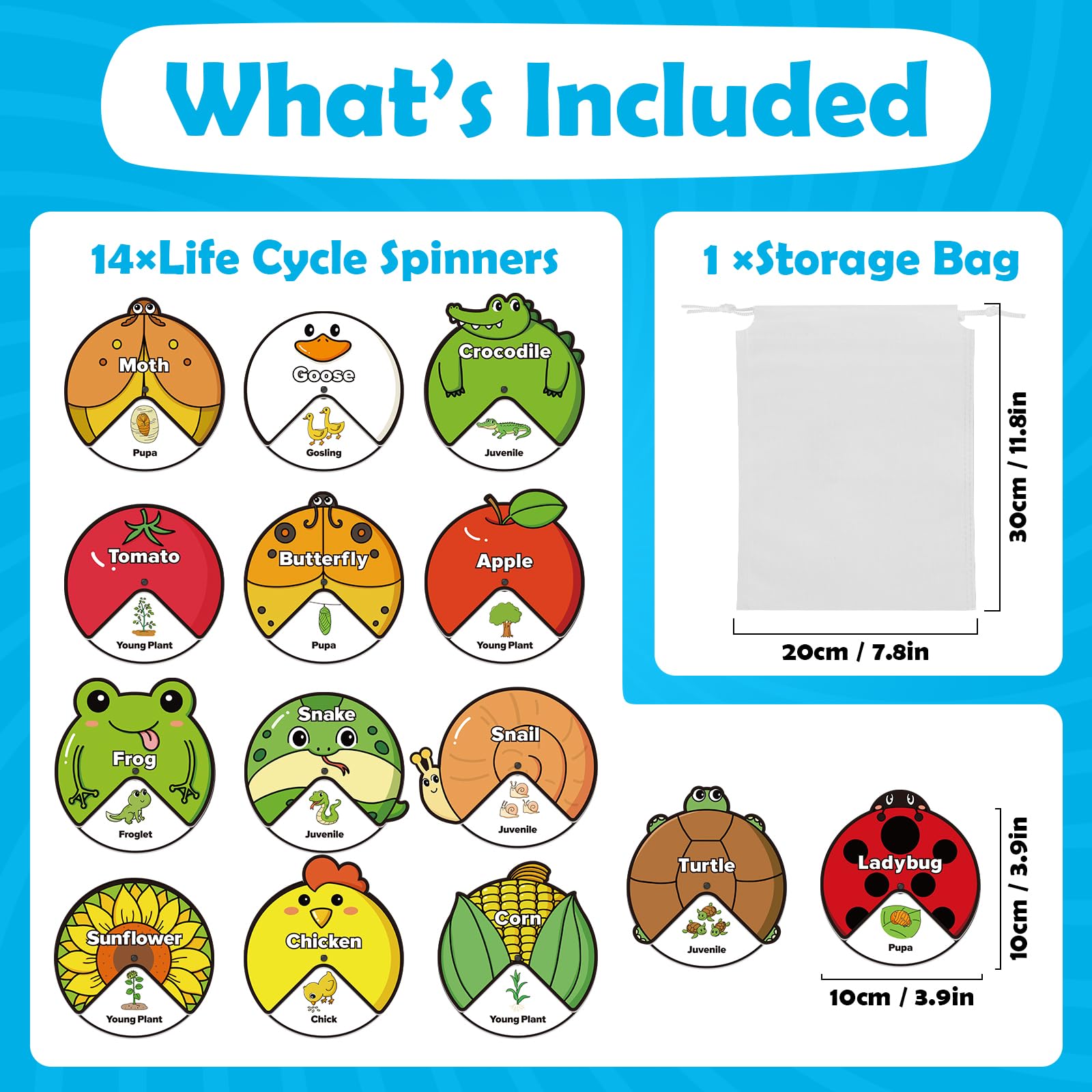 Life Cycle Toys for Kids,Animal Plant Insect Bug Ladybug Butterfly Tadpole to Frog Kit,Montessori Learning & Education Toys,Preschool Science Learning Activities for Toddlers,Board Card Games