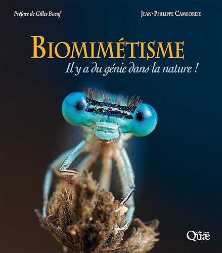 Download Biomimétisme: Il y a du génie dans la nature ! (QUAE GIE) PDF