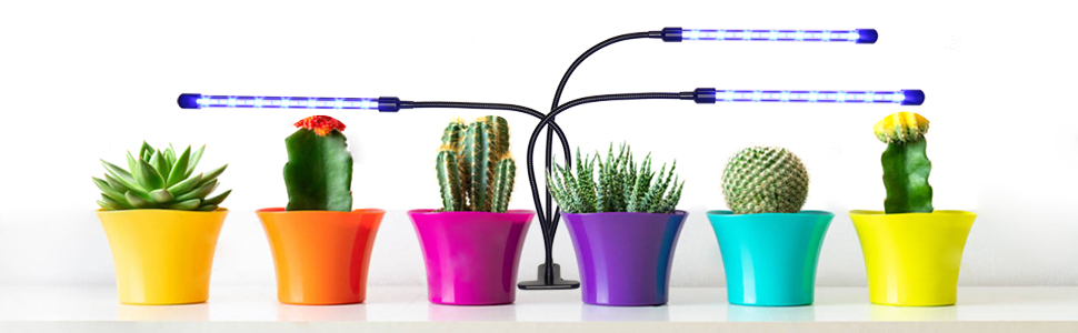 6 Light+Lights+Indoor+Plants+Spectrum