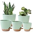 5 Pack Plant Pots Indoor 7/6.5/6/5.5/5 Inch Flower Pots Self Watering Planters for Indoor Plants with Drainage Hole Plastic P