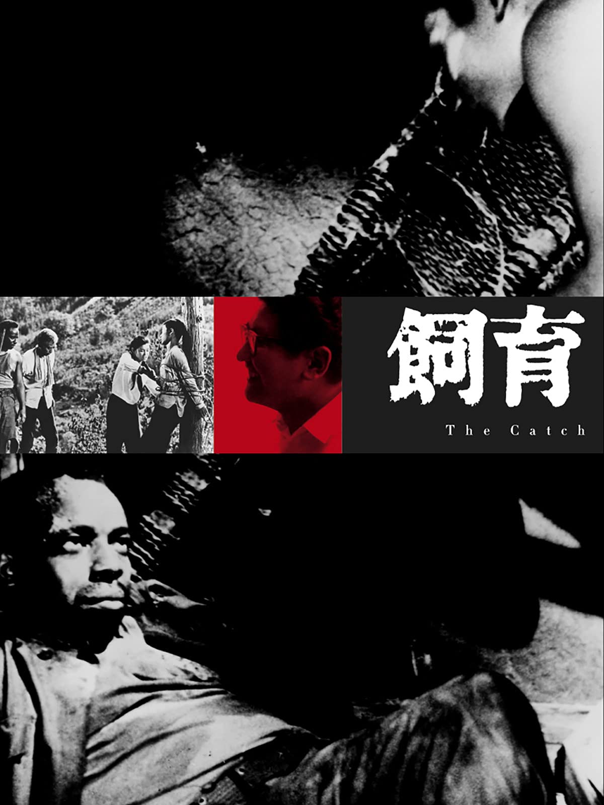 Amazon Co Jp ユンボギの日記を観る Prime Video