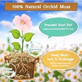 Riare 500g Sphagnum Moss Long Fibered for Plants Orchids Terrariums view 3