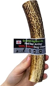 Floppy Ear Scottish Deer Antler Dog Chews Large 160-200g view 2