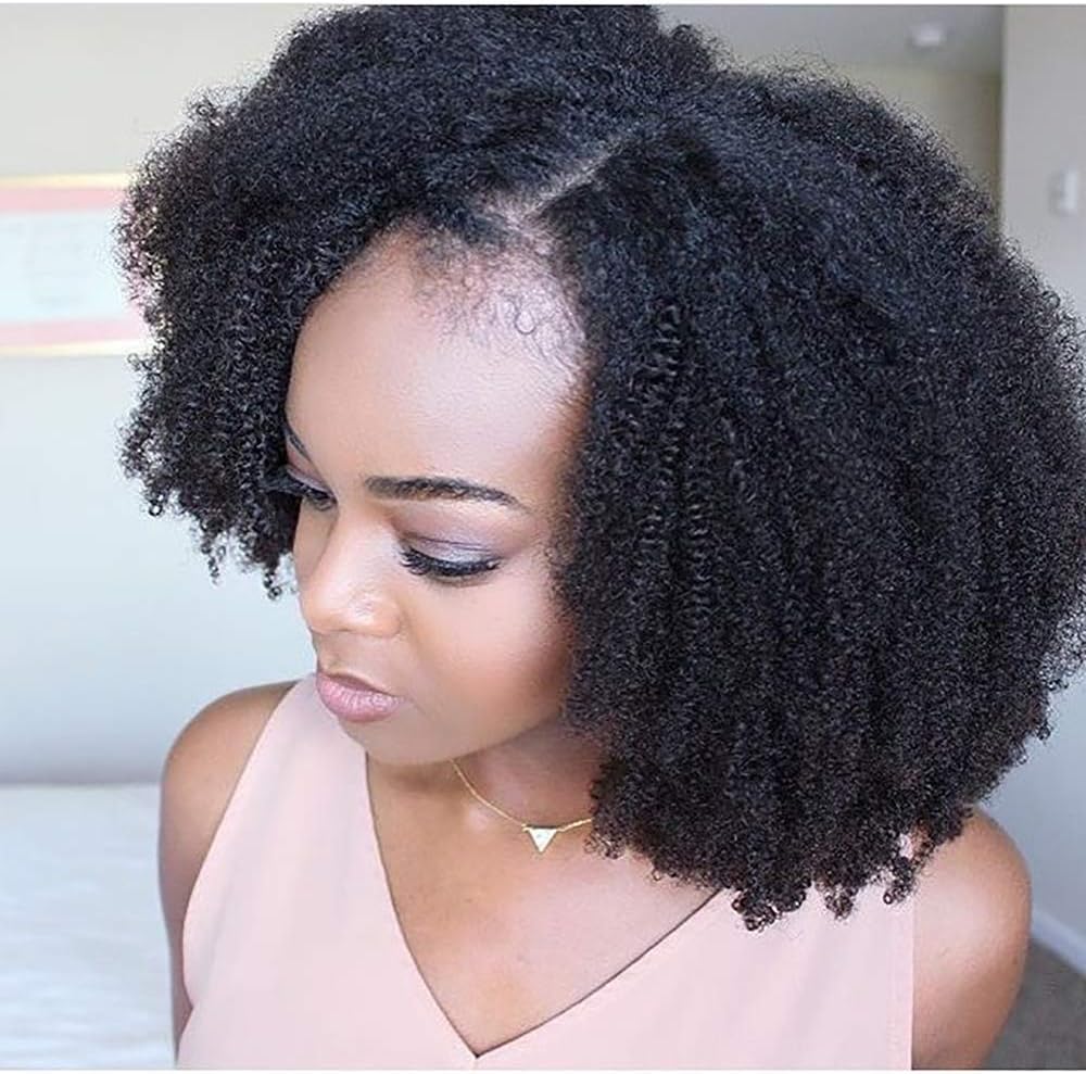 Riya Lace Front Human Hair Wigs for Women Pre Plucked Hairline 150% Denisty Mongolian Afro Curly 4b 4c Lace Front Wigs with Baby Hair Natural Color 14inch